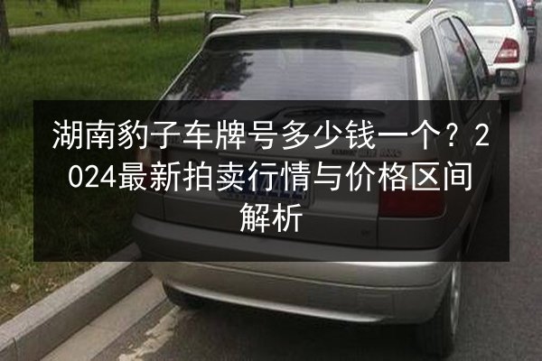 湖南豹子车牌号多少钱一个？2024最新拍卖行情与价格区间解析 第3张