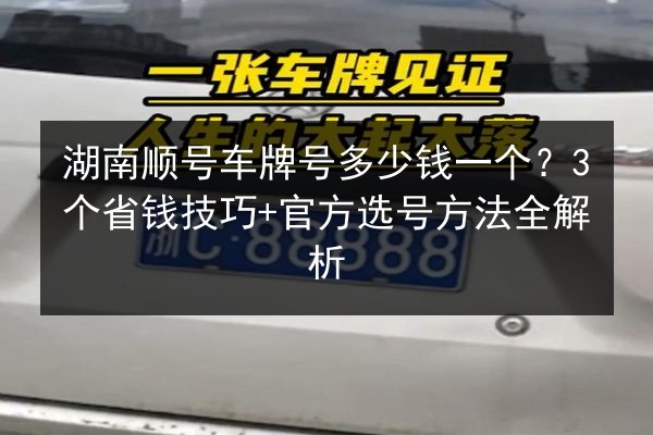 湖南顺号车牌号多少钱一个?3个省钱技巧+官方选号方法全解析 第2张 湖南顺号车牌号多少钱一个?3个省钱技巧+官方选号方法全解析 第2张