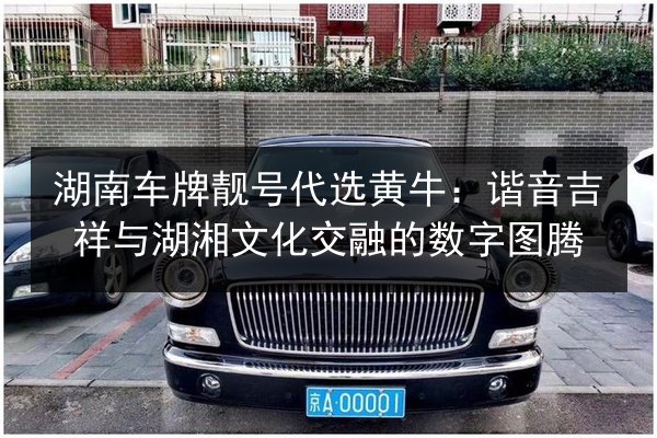 湖南车牌靓号代选黄牛：谐音吉祥与湖湘文化交融的数字图腾