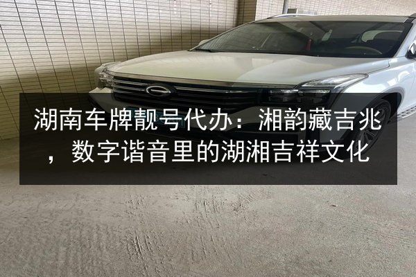 湖南车牌靓号代办:湘韵藏吉兆,数字谐音里的湖湘吉祥文化 第2张 湖南车牌靓号代办:湘韵藏吉兆,数字谐音里的湖湘吉祥文化 第2张