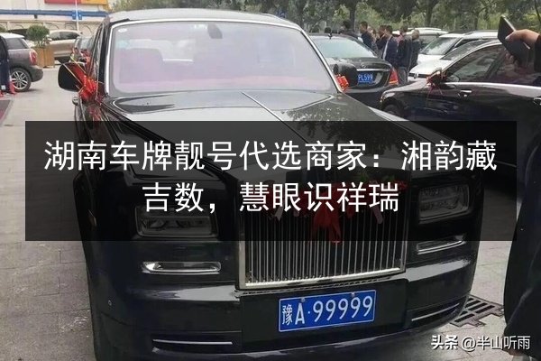 湖南车牌靓号代选商家：湘韵藏吉数，慧眼识祥瑞 第2张
