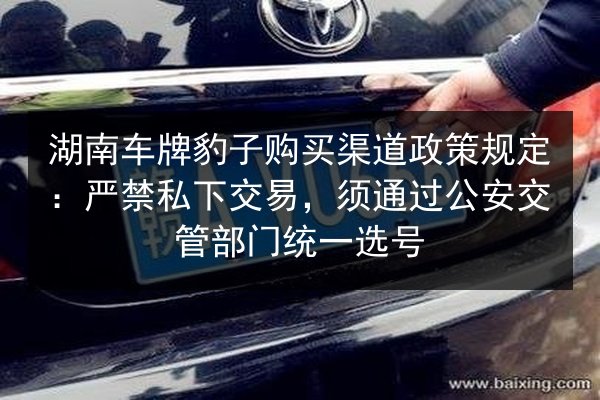 湖南车牌豹子购买渠道政策规定：严禁私下交易，须通过公安交管部门统一选号 第3张