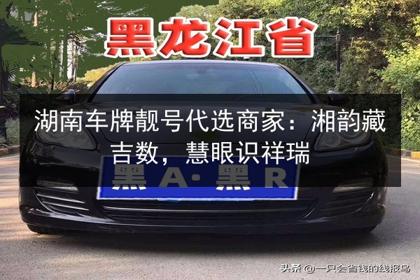 湖南车牌靓号代选商家：湘韵藏吉数，慧眼识祥瑞 第3张