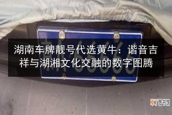 湖南车牌靓号代选黄牛:谐音吉祥与湖湘文化交融的数字图腾 第3张 湖南车牌靓号代选黄牛:谐音吉祥与湖湘文化交融的数字图腾 第3张