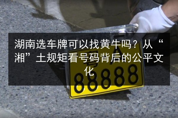 湖南选车牌可以找黄牛吗?从“湘”土规矩看号码背后的公平文化 第2张 湖南选车牌可以找黄牛吗?从“湘”土规矩看号码背后的公平文化 第2张