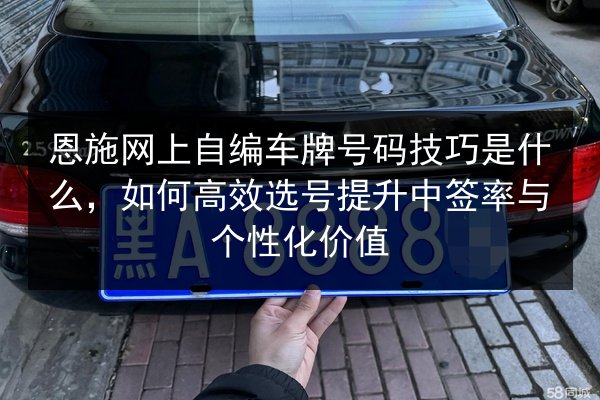 恩施网上自编车牌号码技巧是什么，如何高效选号提升中签率与个性化价值 第2张