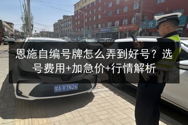 恩施自编号牌怎么弄到好号？选号费用+加急价+行情解析