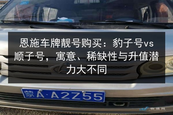 恩施车牌靓号购买：豹子号vs顺子号，寓意、稀缺性与升值潜力大不同 第2张