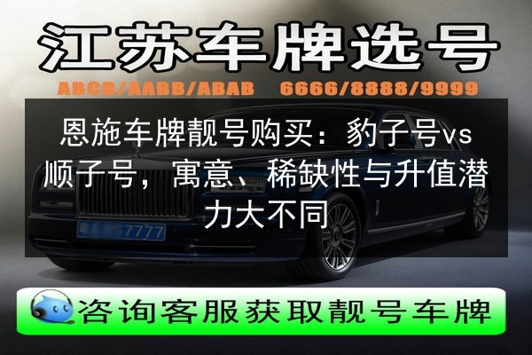 恩施车牌靓号购买：豹子号vs顺子号，寓意、稀缺性与升值潜力大不同 第3张