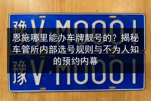 恩施哪里能办车牌靓号的？揭秘车管所内部选号规则与不为人知的预约内幕