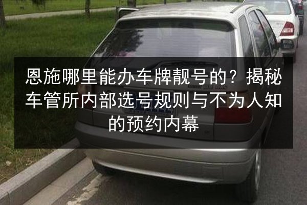 恩施哪里能办车牌靓号的？揭秘车管所内部选号规则与不为人知的预约内幕 第2张