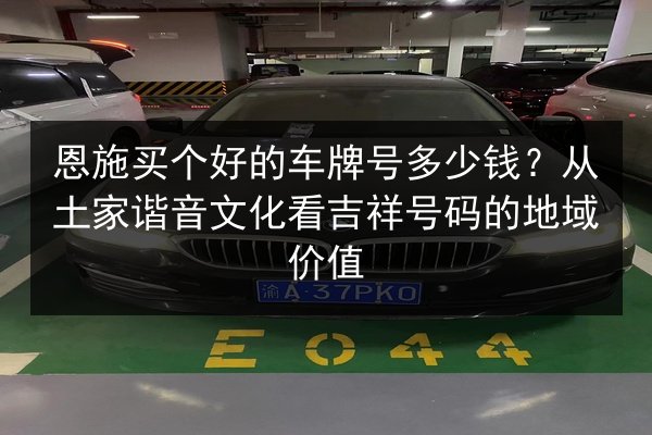 恩施买个好的车牌号多少钱？从土家谐音文化看吉祥号码的地域价值 第2张