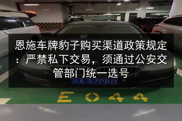 恩施车牌豹子购买渠道政策规定:严禁私下交易,须通过公安交管部门统一选号 第2张 恩施车牌豹子购买渠道政策规定:严禁私下交易,须通过公安交管部门统一选号 第2张