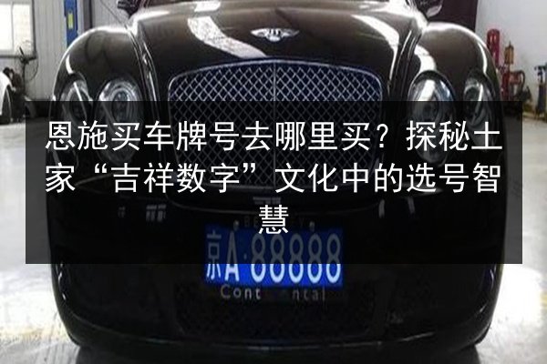 恩施买车牌号去哪里买?探秘土家“吉祥数字”文化中的选号智慧 第2张 恩施买车牌号去哪里买?探秘土家“吉祥数字”文化中的选号智慧 第2张