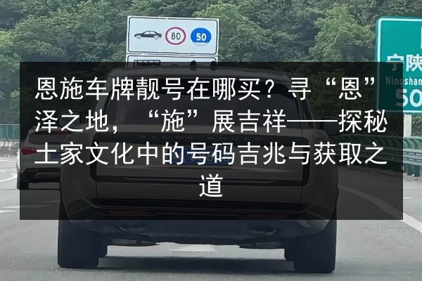 恩施车牌靓号在哪买？寻“恩”泽之地，“施”展吉祥——探秘土家文化中的号码吉兆与获取之道 第3张