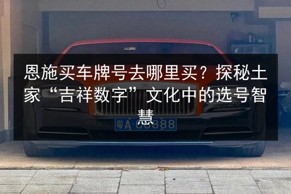 恩施买车牌号去哪里买?探秘土家“吉祥数字”文化中的选号智慧 第3张 恩施买车牌号去哪里买?探秘土家“吉祥数字”文化中的选号智慧 第3张