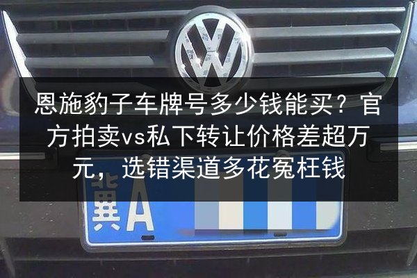恩施豹子车牌号多少钱能买？官方拍卖vs私下转让价格差超万元，选错渠道多花冤枉钱 第1张