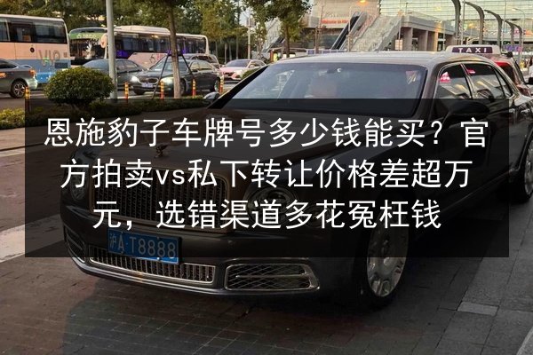 恩施豹子车牌号多少钱能买？官方拍卖vs私下转让价格差超万元，选错渠道多花冤枉钱 第2张