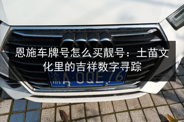 恩施车牌号怎么买靓号:土苗文化里的吉祥数字寻踪 第3张 恩施车牌号怎么买靓号:土苗文化里的吉祥数字寻踪 第3张