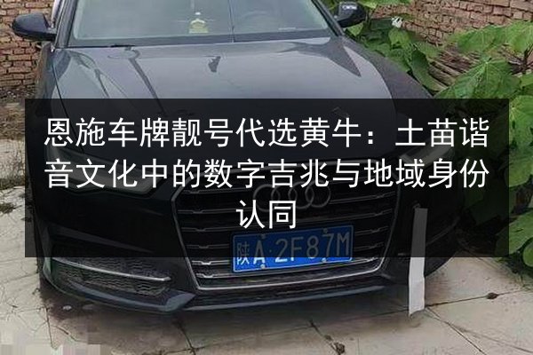 恩施车牌靓号代选黄牛：土苗谐音文化中的数字吉兆与地域身份认同 第2张