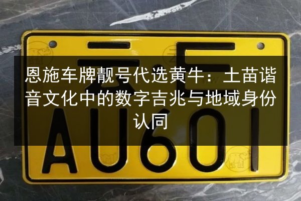 恩施车牌靓号代选黄牛：土苗谐音文化中的数字吉兆与地域身份认同 第3张