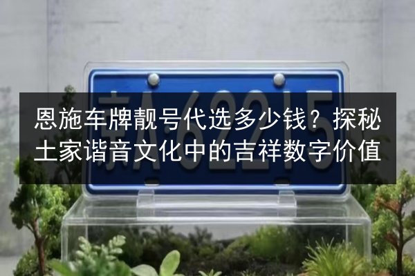 恩施车牌靓号代选多少钱?探秘土家谐音文化中的吉祥数字价值 第3张 恩施车牌靓号代选多少钱?探秘土家谐音文化中的吉祥数字价值 第3张