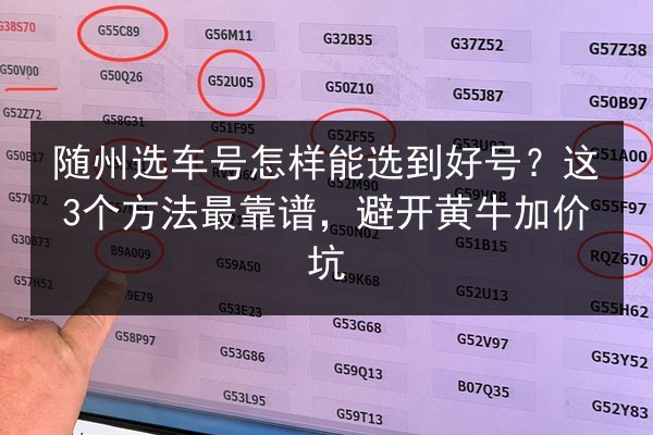 随州选车号怎样能选到好号？这3个方法最靠谱，避开黄牛加价坑 第1张