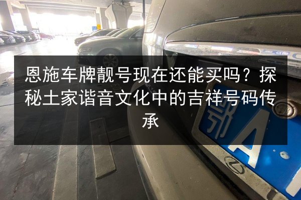 恩施车牌靓号现在还能买吗?探秘土家谐音文化中的吉祥号码传承 第2张 恩施车牌靓号现在还能买吗?探秘土家谐音文化中的吉祥号码传承 第2张