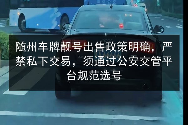 随州车牌靓号出售政策明确，严禁私下交易，须通过公安交管平台规范选号 第2张