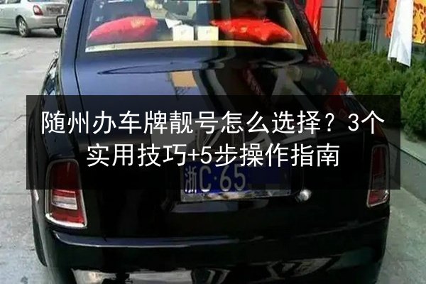 随州办车牌靓号怎么选择？3个实用技巧+5步操作指南 第1张