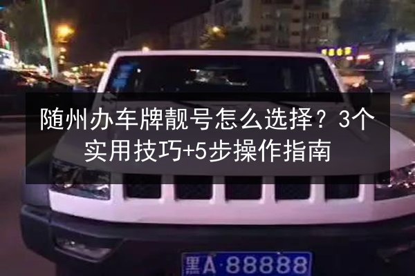 随州办车牌靓号怎么选择？3个实用技巧+5步操作指南 第2张