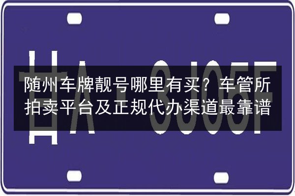 随州车牌靓号哪里有买？车管所拍卖平台及正规代办渠道最靠谱 第3张