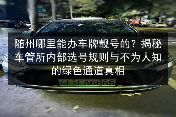 随州哪里能办车牌靓号的?揭秘车管所内部选号规则与不为人知的绿色通道真相 第2张 随州哪里能办车牌靓号的?揭秘车管所内部选号规则与不为人知的绿色通道真相 第2张