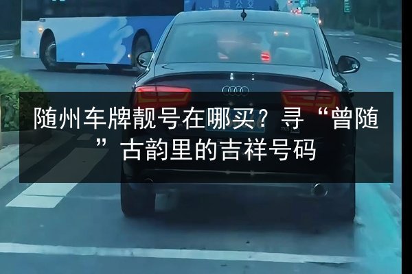 随州车牌靓号在哪买?寻“曾随”古韵里的吉祥号码 第2张 随州车牌靓号在哪买?寻“曾随”古韵里的吉祥号码 第2张