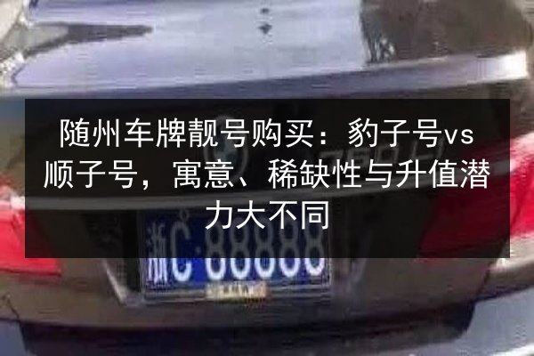 随州车牌靓号购买：豹子号vs顺子号，寓意、稀缺性与升值潜力大不同 第2张