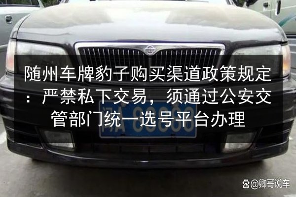 随州车牌豹子购买渠道政策规定：严禁私下交易，须通过公安交管部门统一选号平台办理 第2张