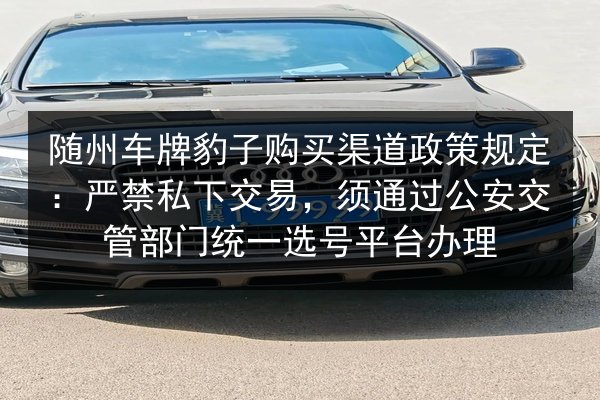 随州车牌豹子购买渠道政策规定：严禁私下交易，须通过公安交管部门统一选号平台办理 第3张