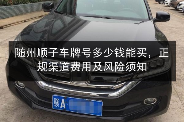 随州顺子车牌号多少钱能买,正规渠道费用及风险须知 第2张 随州顺子车牌号多少钱能买,正规渠道费用及风险须知 第2张
