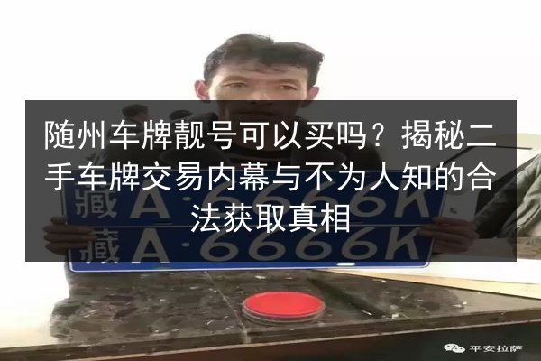 随州车牌靓号可以买吗？揭秘二手车牌交易内幕与不为人知的合法获取真相