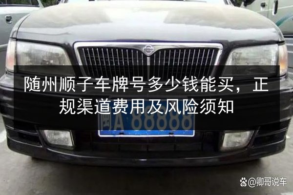 随州顺子车牌号多少钱能买,正规渠道费用及风险须知 第3张 随州顺子车牌号多少钱能买,正规渠道费用及风险须知 第3张