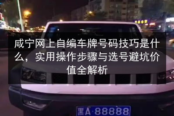 咸宁网上自编车牌号码技巧是什么，实用操作步骤与选号避坑价值全解析 第2张