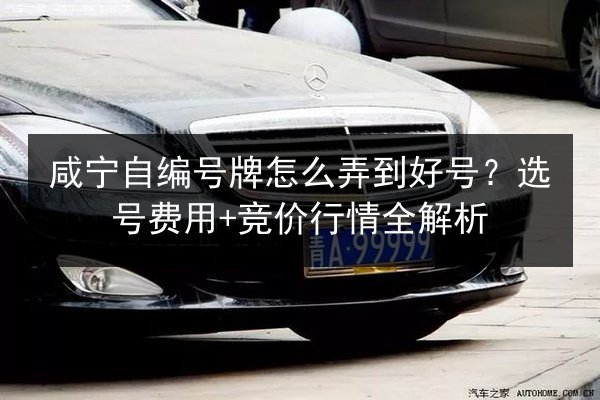 咸宁自编号牌怎么弄到好号?选号费用+竞价行情全解析 第1张 咸宁自编号牌怎么弄到好号?选号费用+竞价行情全解析 第1张