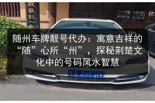 随州车牌靓号代办：寓意吉祥的“随”心所“州”，探秘荆楚文化中的号码风水智慧 第2张