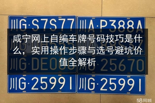 咸宁网上自编车牌号码技巧是什么，实用操作步骤与选号避坑价值全解析 第3张