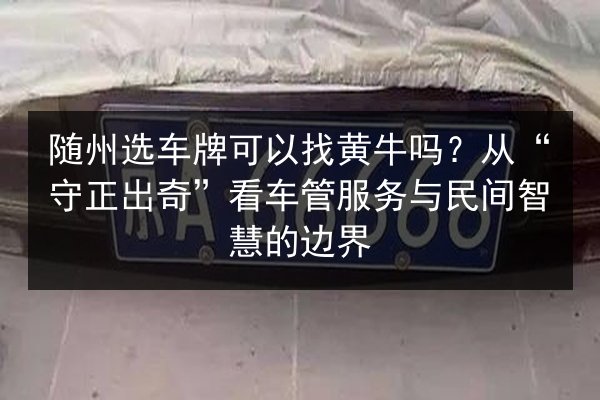 随州选车牌可以找黄牛吗？从“守正出奇”看车管服务与民间智慧的边界 第2张