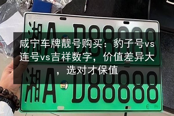 咸宁车牌靓号购买:豹子号vs连号vs吉祥数字,价值差异大,选对才保值 第2张 咸宁车牌靓号购买:豹子号vs连号vs吉祥数字,价值差异大,选对才保值 第2张