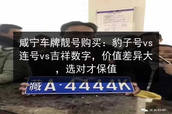 咸宁车牌靓号购买:豹子号vs连号vs吉祥数字,价值差异大,选对才保值 第3张 咸宁车牌靓号购买:豹子号vs连号vs吉祥数字,价值差异大,选对才保值 第3张