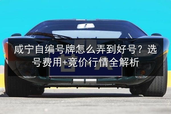 咸宁自编号牌怎么弄到好号?选号费用+竞价行情全解析 第3张 咸宁自编号牌怎么弄到好号?选号费用+竞价行情全解析 第3张