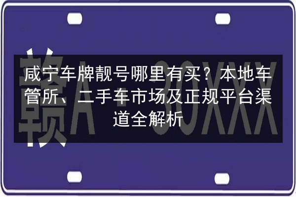 咸宁车牌靓号哪里有买？本地车管所、二手车市场及正规平台渠道全解析 第2张