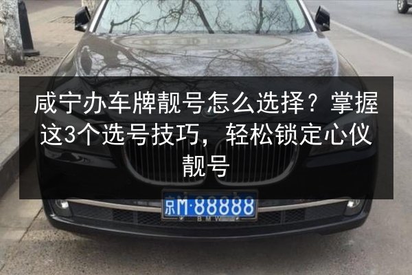 咸宁办车牌靓号怎么选择？掌握这3个选号技巧，轻松锁定心仪靓号 第2张